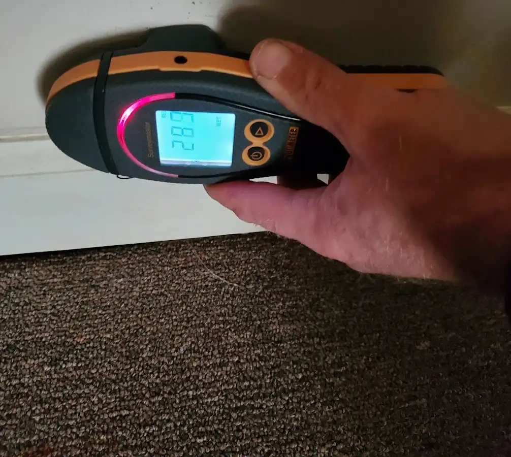 Moisture detection at baseboard during Sewage Cleanup & Sanitation in Highland Park